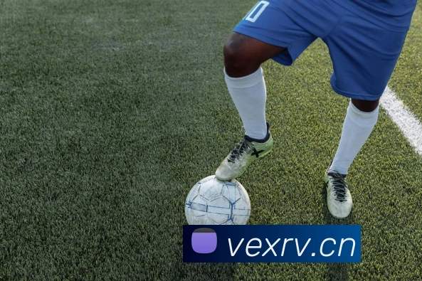 大阳城集团资料大全平台生态图