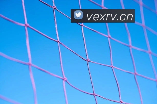 大阳城集团资料大全APP 封面图